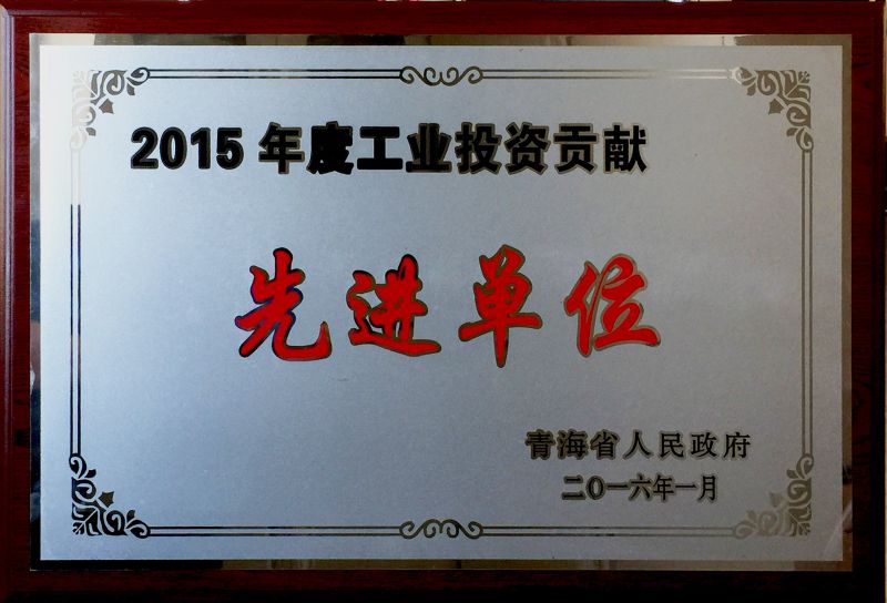 2015年度工業(yè)投資貢獻(xiàn)先進單位