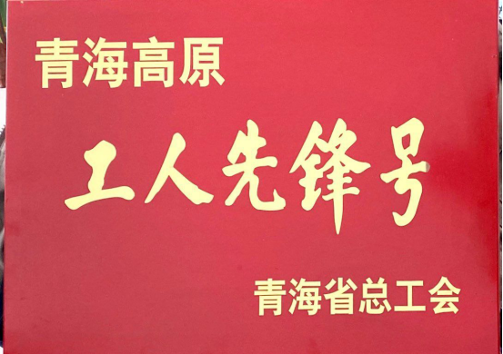 青海朝陽機電交易市場有限公司市場管理部榮獲青海高原“工人先鋒號”稱號