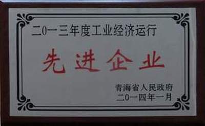 集團榮獲2013年度全省工業(yè)經濟運行先進企業(yè)